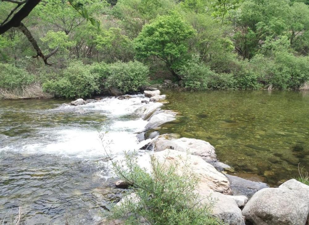 Kim Satgat Heukjib Yiyagi Otel Yeongwol Oda fotoğraf